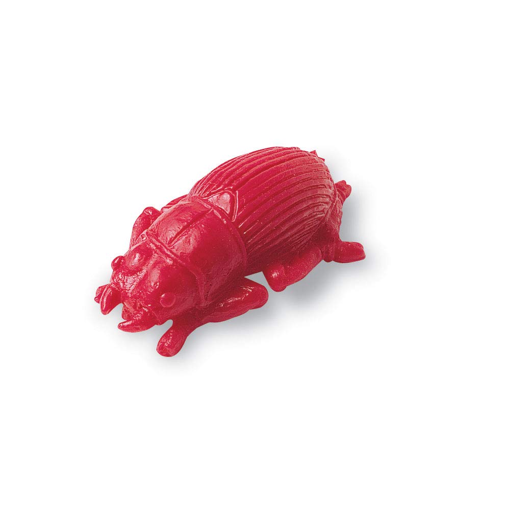 Foto 4 pulgar | Contadores De Insectos De Patio Trasero Toy Learning Resources, 72 Piezas, Más De 3 - Venta Internacional.