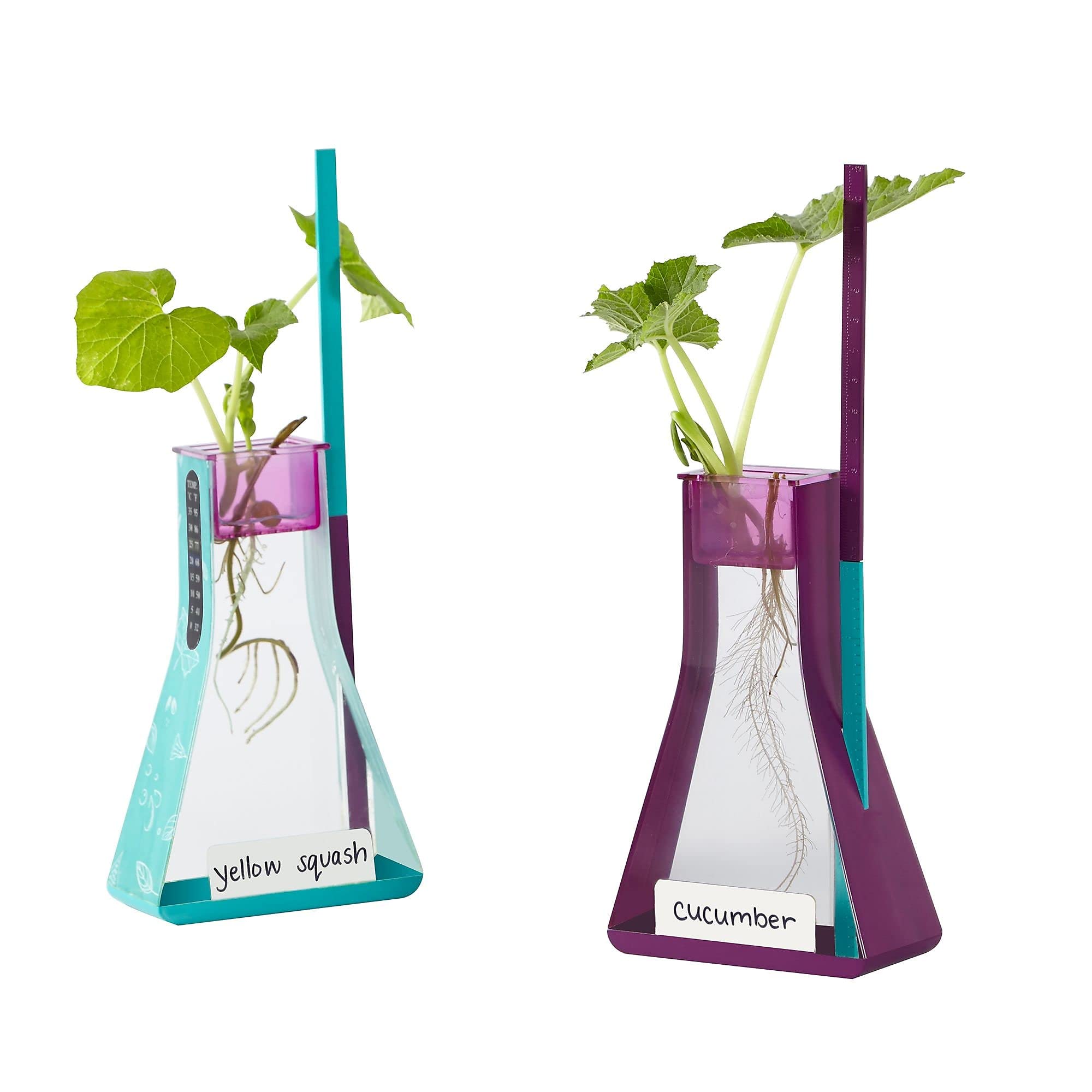 Kit De Hidroponía: Perspectivas Educativas | Nancy B's Science Club - Venta Internacional.