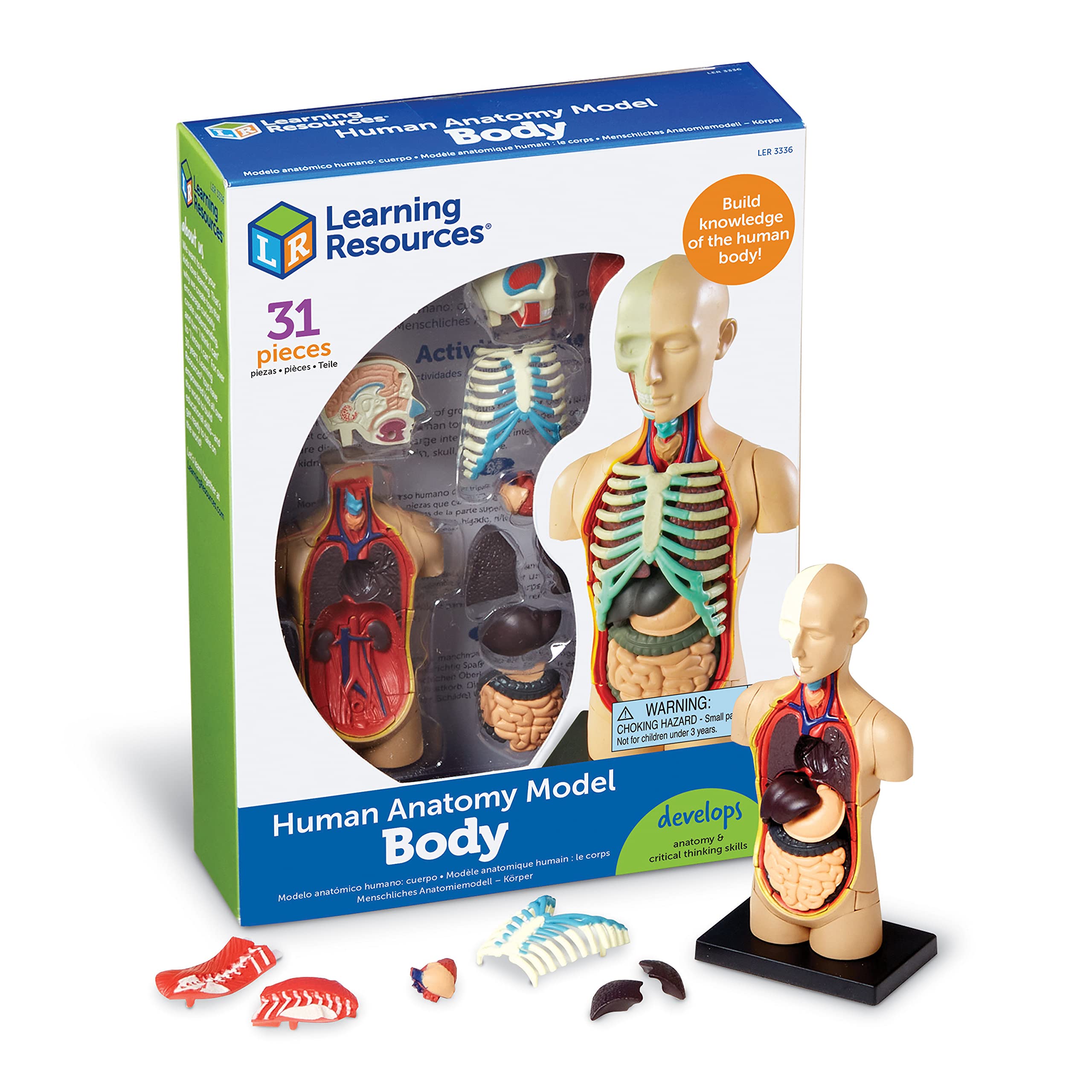 Foto 1 | Herramientas De Demostración En El Aula De Ciencias Recursos De Aprendizaje Modelo Del Cuerpo Humano - Venta Interna