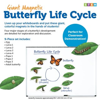 Foto 4 | El Ciclo De Vida De La Mariposa Magnética Ayuda A La Enseñanza Y Recursos De Aprendizaje - Venta Internacional.