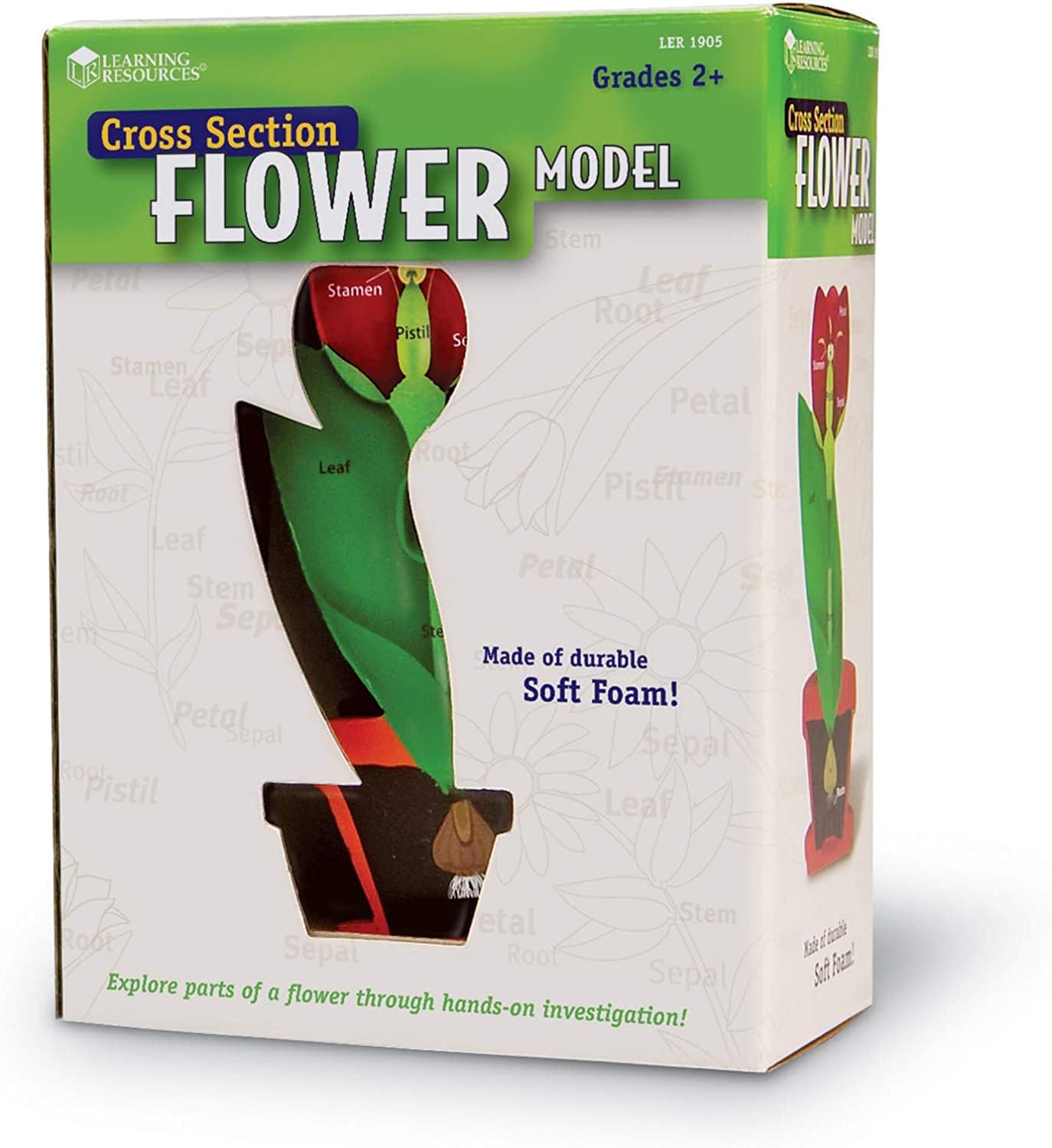Foto 3 | Espuma Para Aula Con Sección Transversal De Flower Model Learning Resources - Venta Internacional.