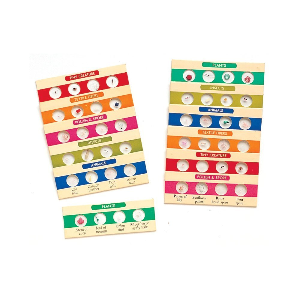 Conjunto De Diapositivas Para Microscopios, Recursos De Aprendizaje, 48 Muestras - Venta Internacional.