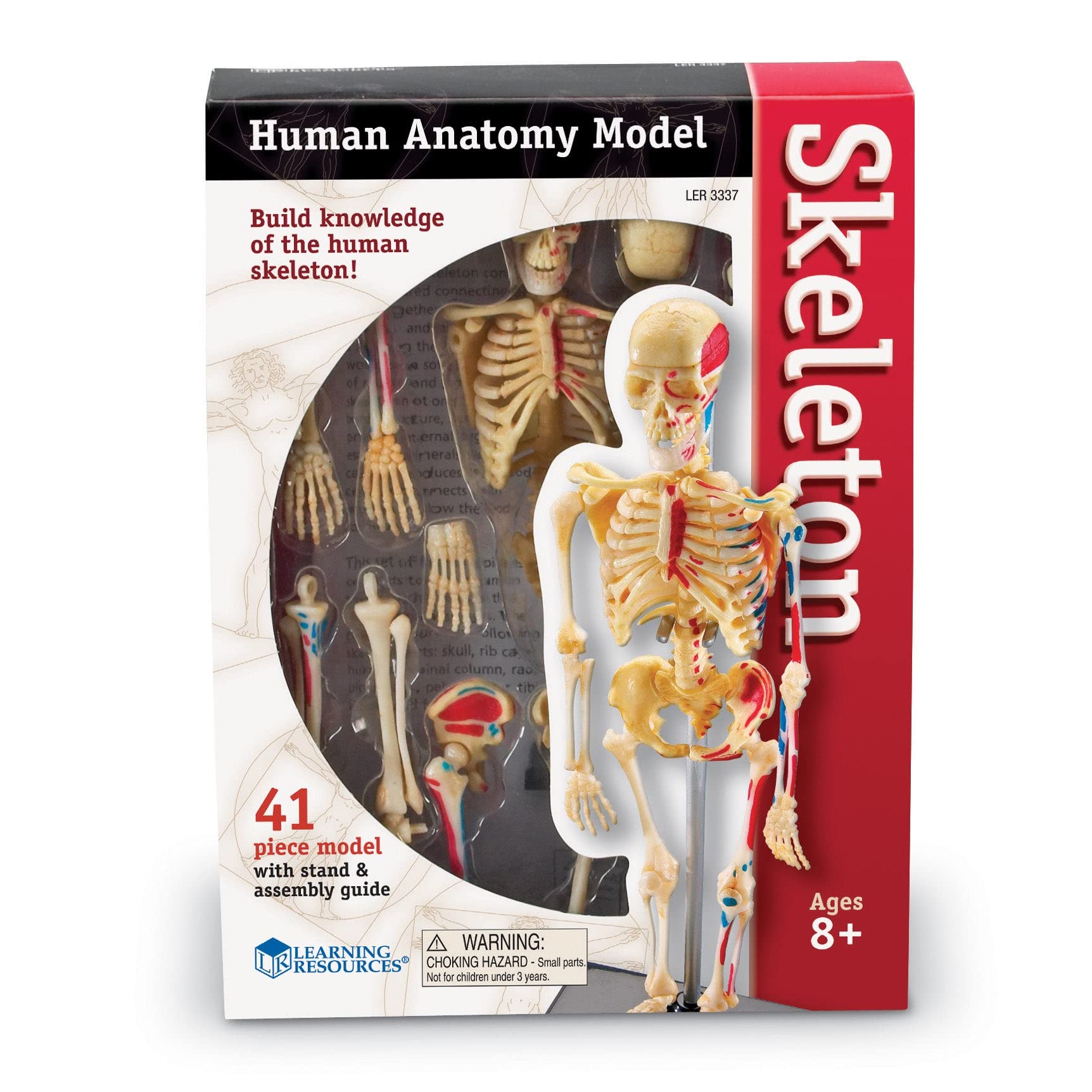 Foto 2 | Miniatura De Skeleton Model Learning Resources, 41 Piezas, 23 Cm - Venta Internacional.