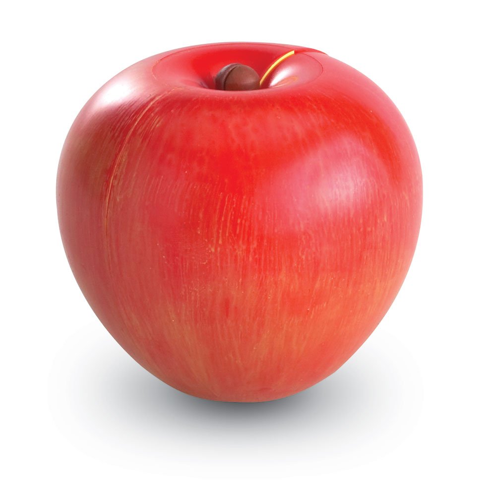 Foto 5 pulgar | Recursos De Aprendizaje Sobre Fracciones Magnéticas De Manzana Con Guía De Actividades - Venta Internacional.