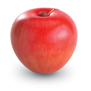 Foto 4 | Recursos De Aprendizaje Sobre Fracciones Magnéticas De Manzana Con Guía De Actividades - Venta Internacional.