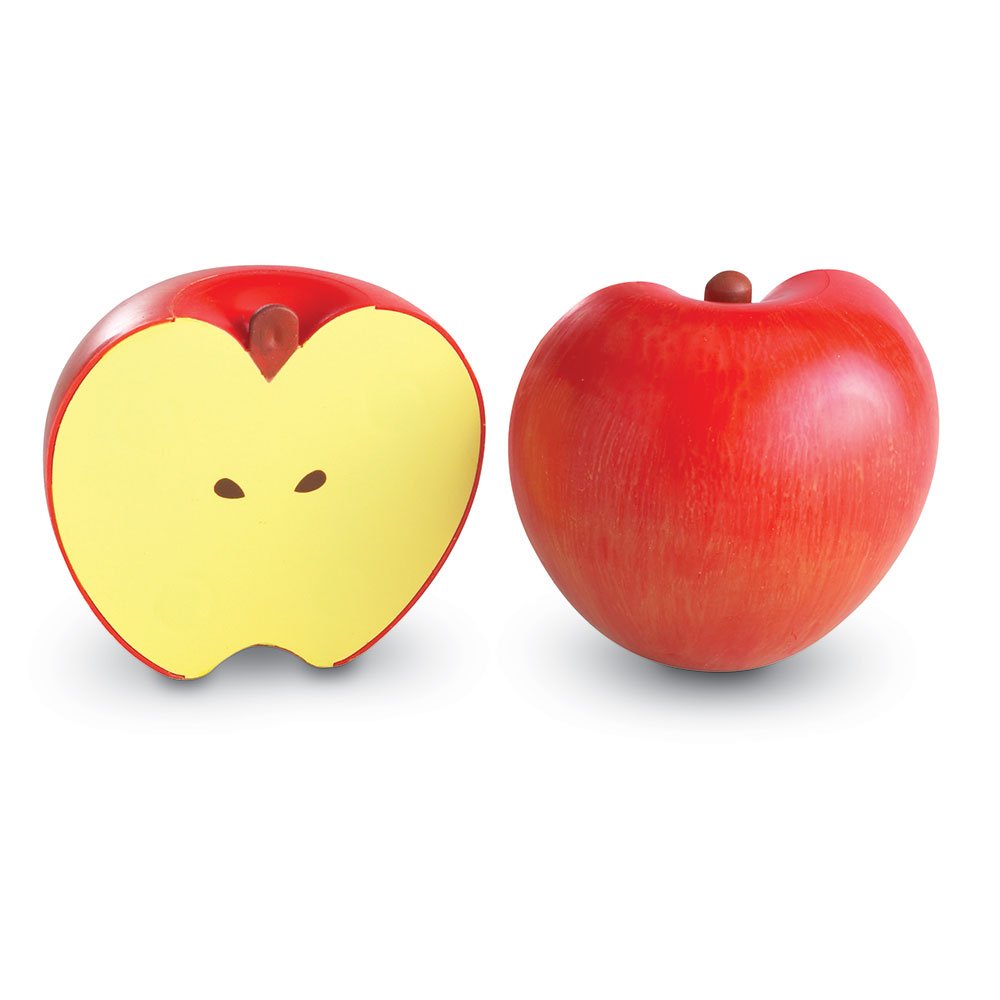 Foto 6 pulgar | Recursos De Aprendizaje Sobre Fracciones Magnéticas De Manzana Con Guía De Actividades - Venta Internacional.