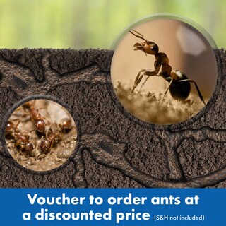 Foto 5 | Información Educativa Sobre Ant Factory Geosafari Con Arena Y Hormigas Vivas - Venta Internacional.