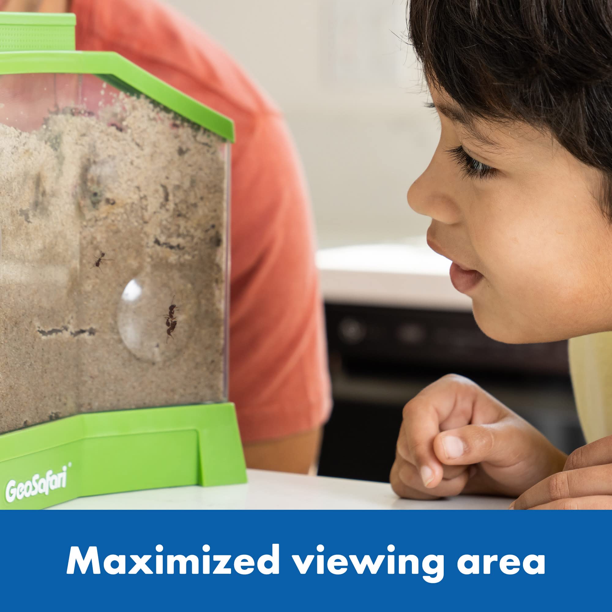 Foto 6 | Información Educativa Sobre Ant Factory Geosafari Con Arena Y Hormigas Vivas - Venta Internacional.