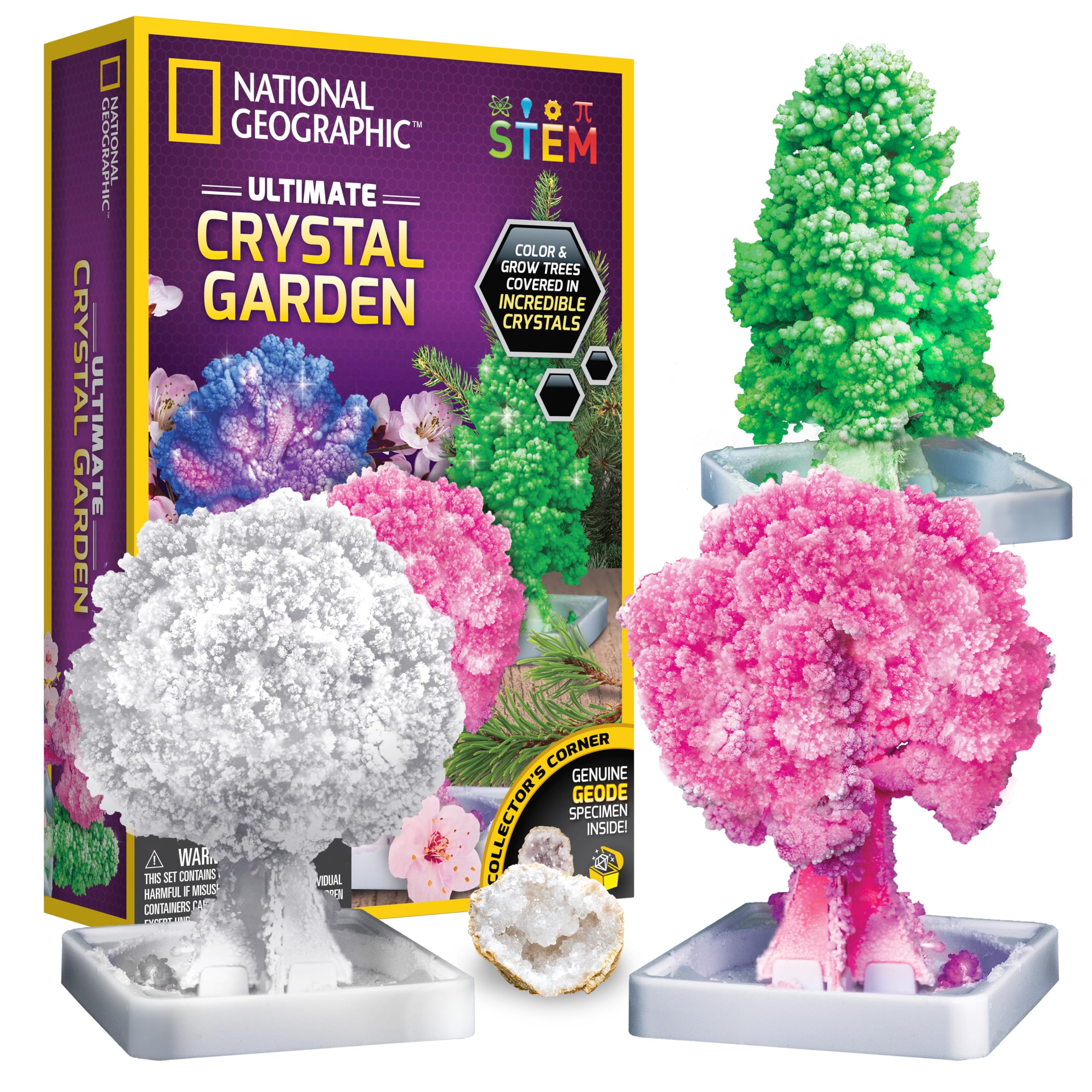 Kit Artesanal National Geographic Crystal Growing Con Proyecto De Arte - Venta Internacional.
