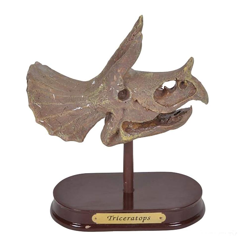 Foto 1 | Kit de Excavación de Dinosaurios Artcreativity con Calavera de Triceratops 14 cm - Venta Internacional