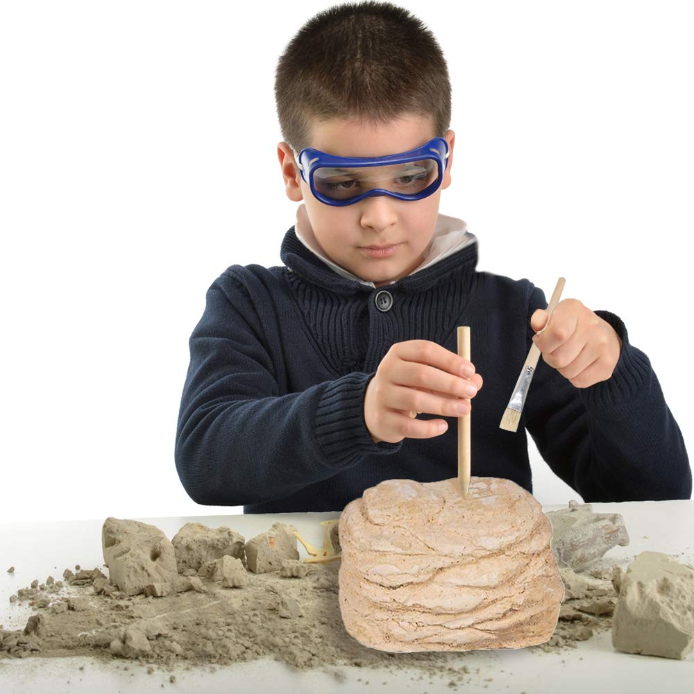 Foto 5 | Kit de Excavación de Dinosaurios Artcreativity con Calavera de Triceratops 14 cm - Venta Internacional