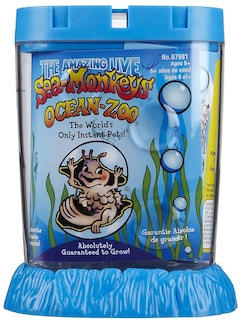 Foto 1 | Los Colores De Sea Monkeys Ocean Zoo Schylling Pueden Variar - Venta Internacional.