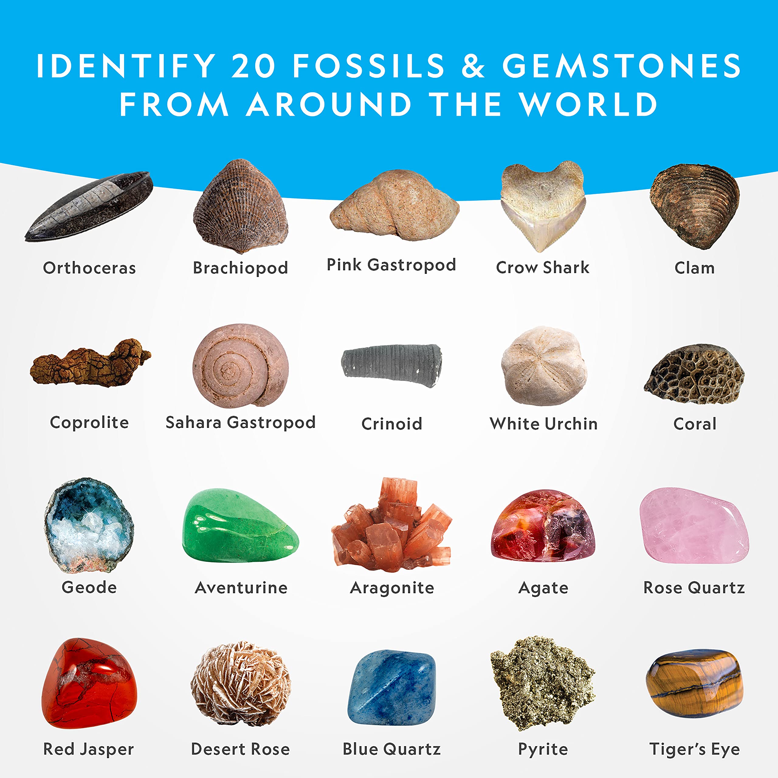 Foto 4 | Kit Científico National Geographic Mega Excavación De Fósiles Y Piedras Preciosas - Venta Internacional.