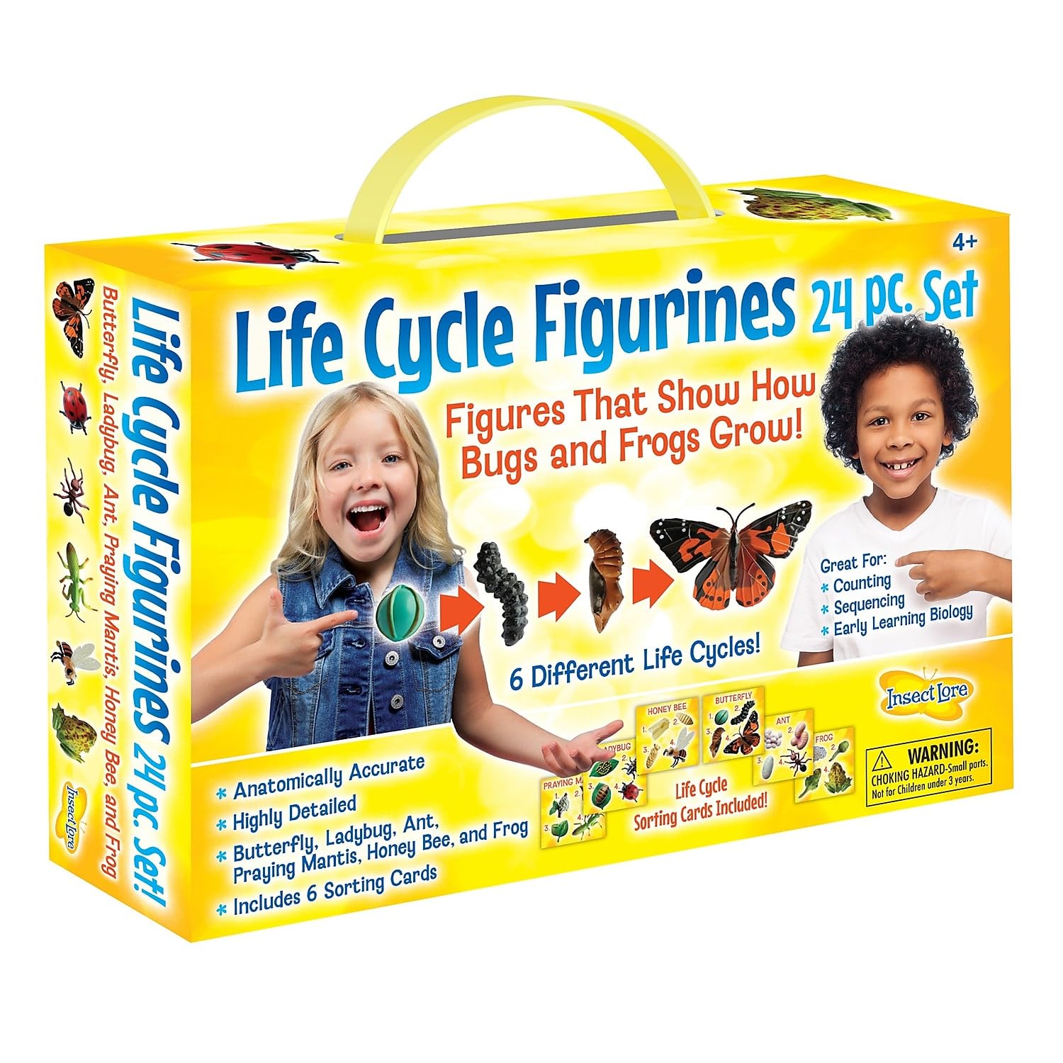 Foto 2 pulgar | Set De Figuras Life Cycle Insect Lore Butterfly Ladybug Frog - Venta Internacional.