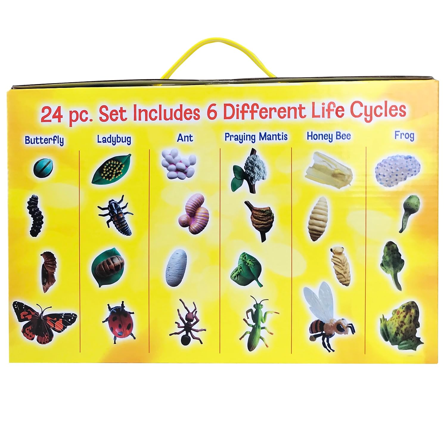 Foto 3 pulgar | Set De Figuras Life Cycle Insect Lore Butterfly Ladybug Frog - Venta Internacional.
