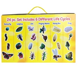 Foto 2 | Set De Figuras Life Cycle Insect Lore Butterfly Ladybug Frog - Venta Internacional.