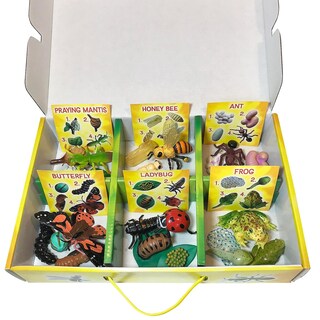 Foto 3 | Set De Figuras Life Cycle Insect Lore Butterfly Ladybug Frog - Venta Internacional.