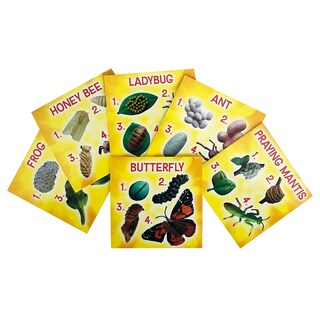 Foto 4 | Set De Figuras Life Cycle Insect Lore Butterfly Ladybug Frog - Venta Internacional.