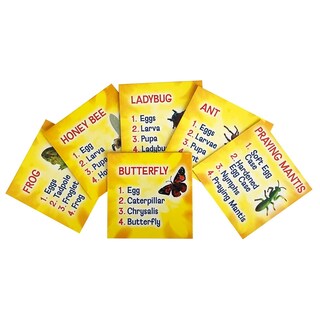 Foto 5 | Set De Figuras Life Cycle Insect Lore Butterfly Ladybug Frog - Venta Internacional.