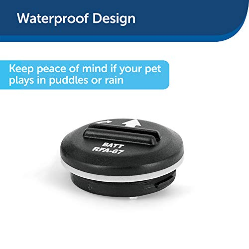 Foto 5 pulgar | Baterías De Repuesto Petsafe Rfa-67 De 6 V, 2 Unidades, Color Negro - Venta Internacional.