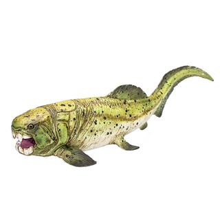 Foto 5 | Figura De Dinosaurio Mojo Dunkleosteus, Juguete Realista - Venta Internacional.