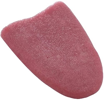 Foto 1 | Bromea Con Lengua Falsa Para Hacer Trucos De Magia Y Bromas De Halloween - Venta Internacional.
