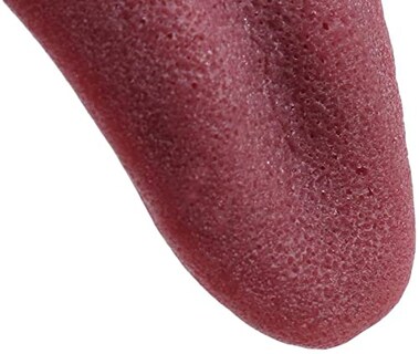 Foto 2 | Bromea Con Lengua Falsa Para Hacer Trucos De Magia Y Bromas De Halloween - Venta Internacional.