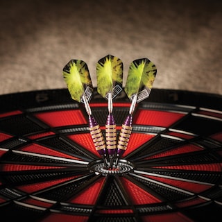 Foto 2 | Darts Viper Spinning Bee, Punta Blanda, 16 G, Con Funda Casemaster, Color Morado - Venta Internacional.