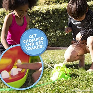 Foto 4 | Juego Acuático Hasbro Crocodile Dentist Splash para Niños Mayores de 4 Años - Venta Internacional