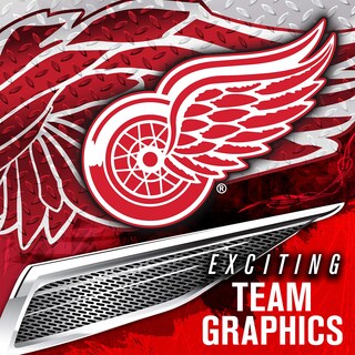 Foto 4 | Máscara Facial De Portero Franklin Sports Detroit Red Wings Nhl - Venta Internacional.