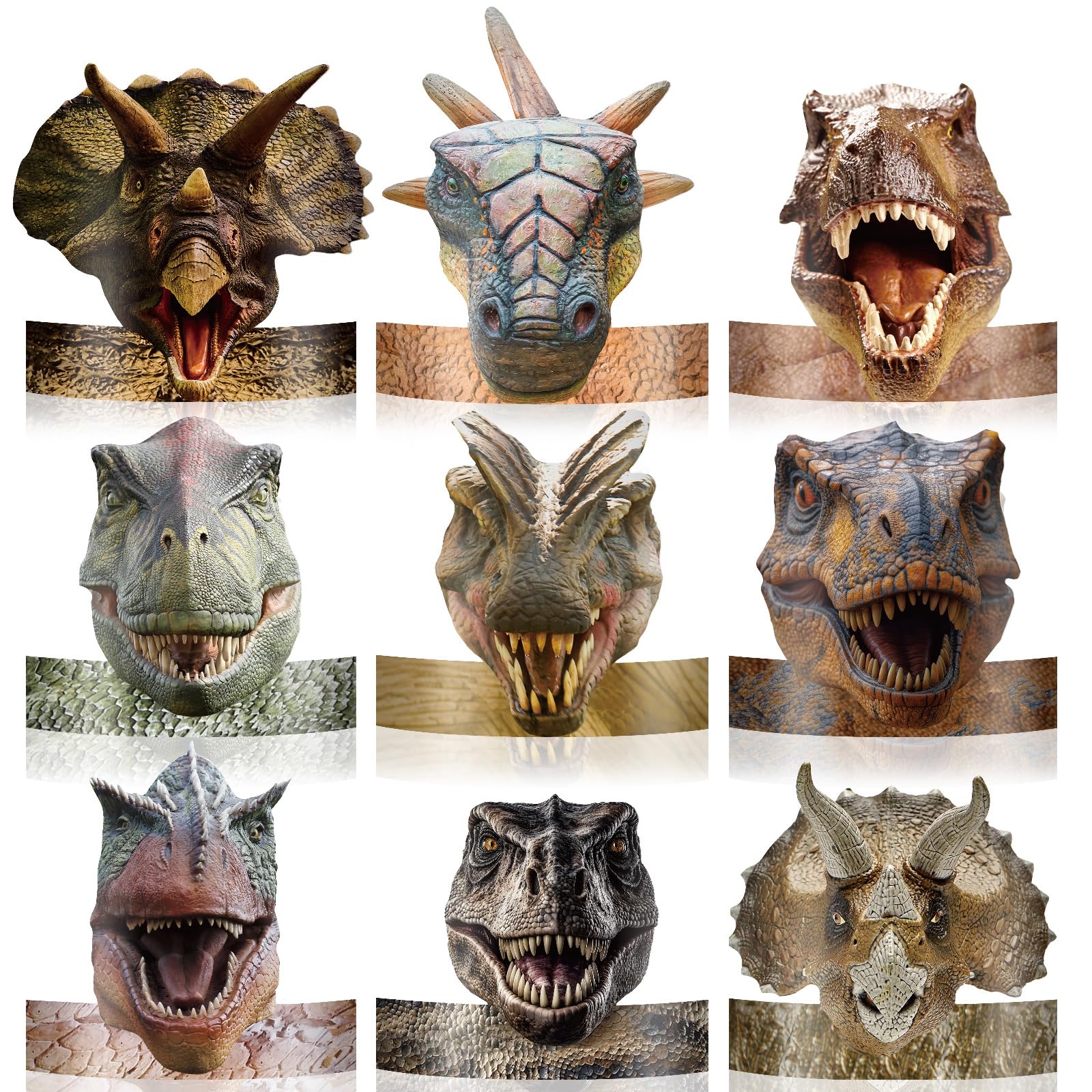 Foto 2 pulgar | Gorros De Fiesta Gersoniel Dinosaur Birthday, 24 Unidades, Para Niños - Venta Internacional.
