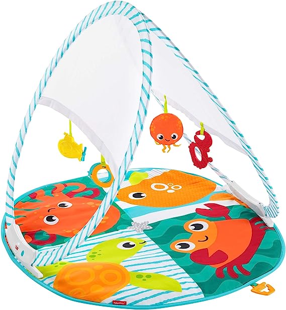Gimnasio para Bebé Fisher-Price Portátil $899