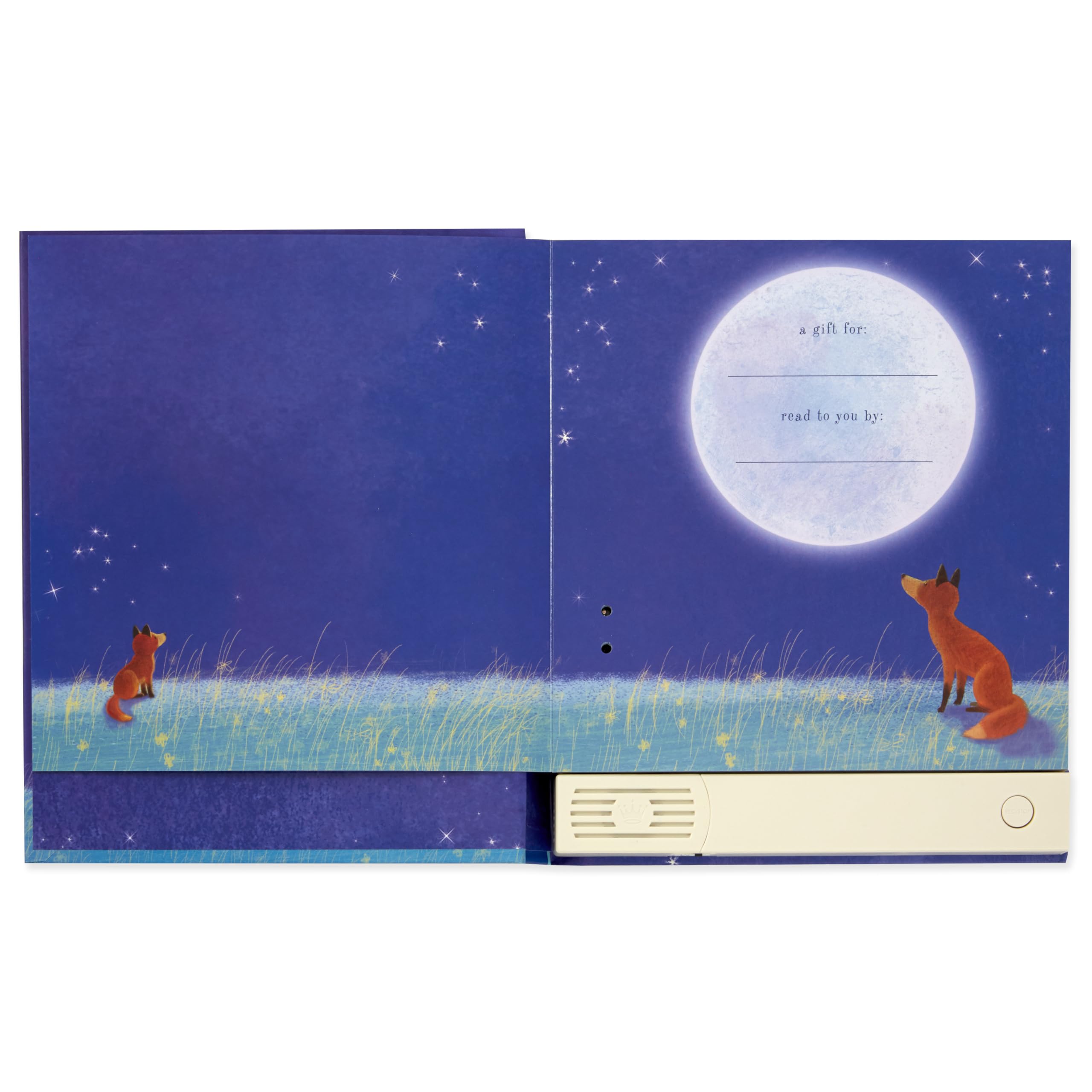 Foto 7 pulgar | El Sello Distintivo De Un Libro De Cuentos Grabable Bajo La Misma Luna - Venta Internacional.