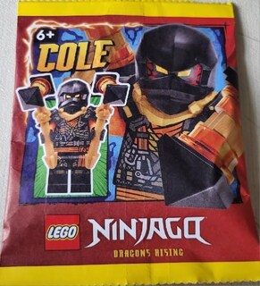 Foto 2 | Minifigura Lego Ninjago Dragons Rising Temporada 2 Cole Climber - Venta Internacional.