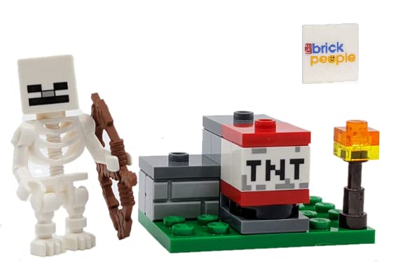 Venta Internacional - Lego Minecraft: Esqueleto Con Lanzador Tnt Y Fichas De Bonificación $719