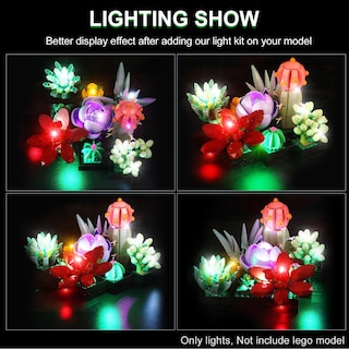 Foto 2 | Kit De Luces Led Rorliny Para Decoración De Plantas Lego Suculentas 10309 - Venta Internacional.