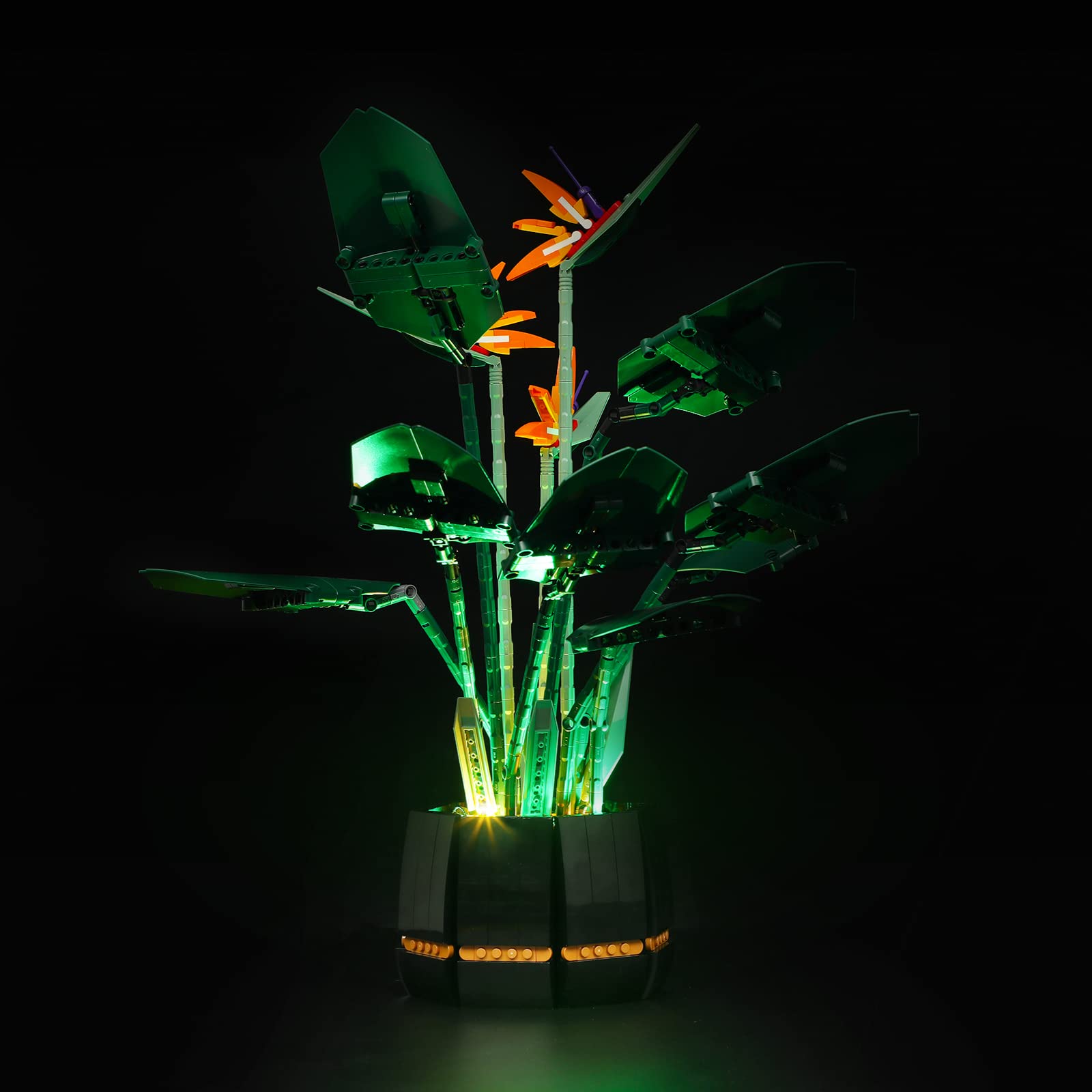 Kit De Iluminación Briksmax Para Lego Creator Bird Of Paradise 1028 - Venta Internacional.