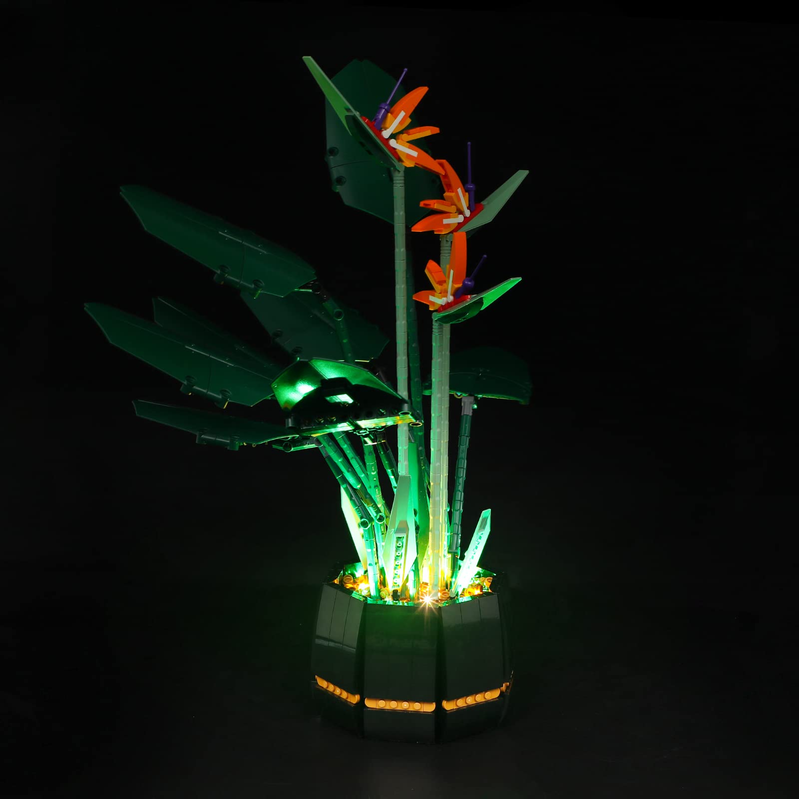 Foto 4 pulgar | Kit De Iluminación Briksmax Para Lego Creator Bird Of Paradise 1028 - Venta Internacional.