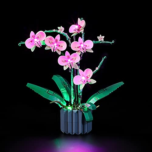 Foto 2 pulgar | Kit De Luces Led Para Maqueta De Edificio Orchid - Set De Iluminación - Venta Internacional.