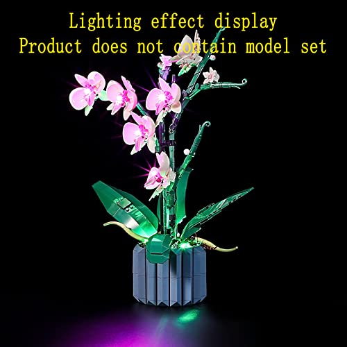 Foto 6 pulgar | Kit De Luces Led Para Maqueta De Edificio Orchid - Set De Iluminación - Venta Internacional.