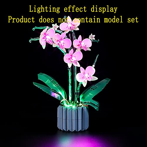 Foto 7 pulgar | Kit De Luces Led Para Maqueta De Edificio Orchid - Set De Iluminación - Venta Internacional.
