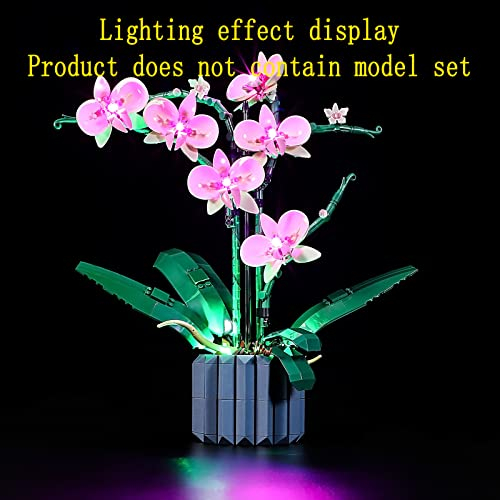 Foto 8 pulgar | Kit De Luces Led Para Maqueta De Edificio Orchid - Set De Iluminación - Venta Internacional.