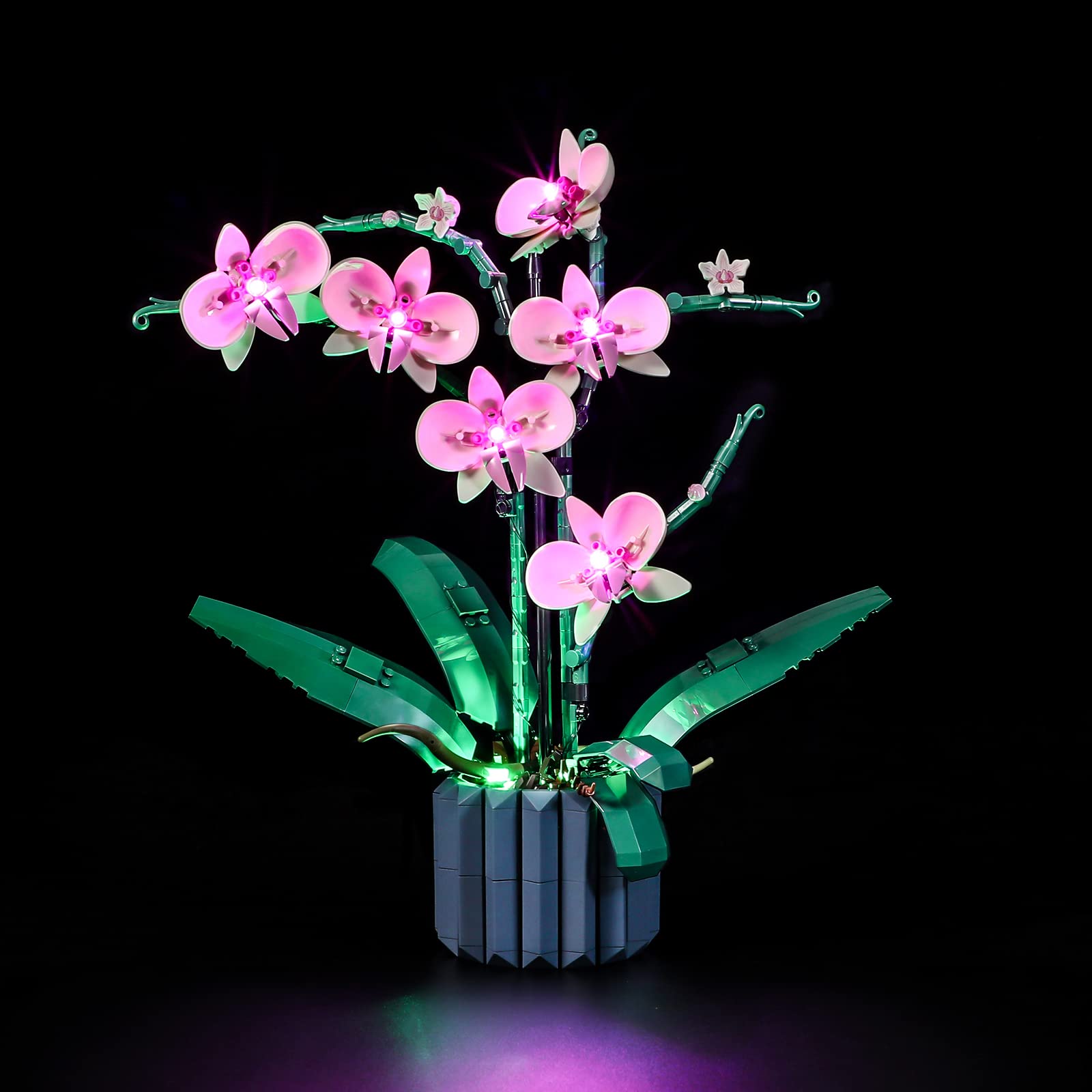 Foto 1 | Kit De Iluminación Lightailing Para Lego 10311 Orchid Con Luz Led - Venta Internacional.