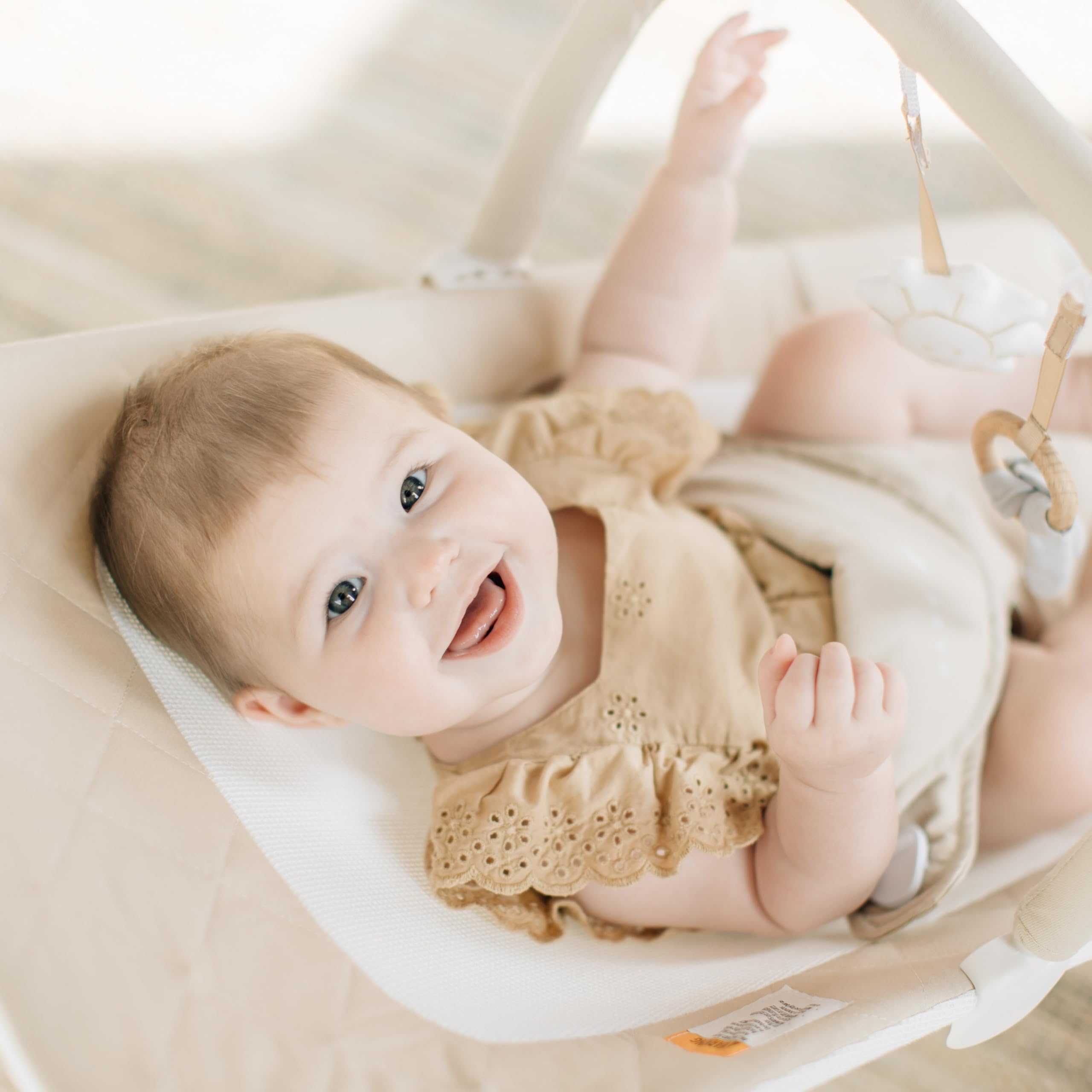 Foto 5 | Baby Bouncer Baby Delight Heirloom Aspen De 0 A 6 Meses - Venta Internacional.