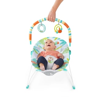 Foto 5 | Baby Bouncer Bright Starts, Vibraciones Relajantes De 0 A 6 M, 9 Kg - Venta Internacional.