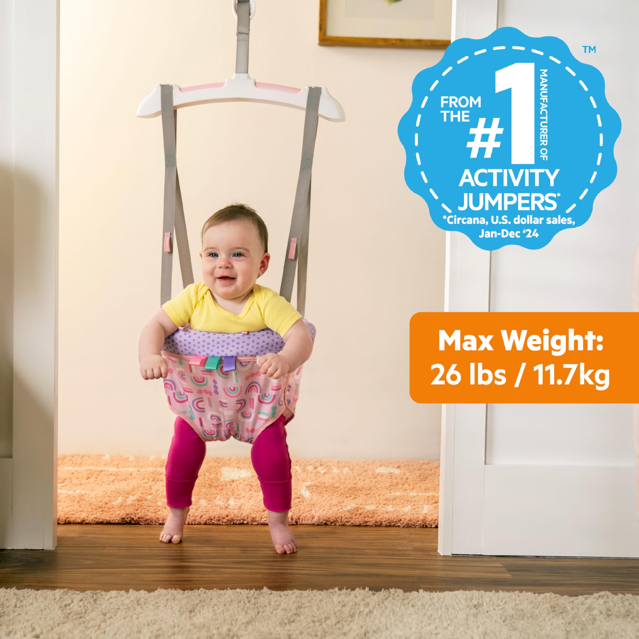 Foto 3 pulgar | Door Jumper Bright Starts Purple Paradise Para Bebés De 6 A 12 Meses - Venta Internacional.