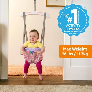 Foto 2 | Door Jumper Bright Starts Purple Paradise Para Bebés De 6 A 12 Meses - Venta Internacional.