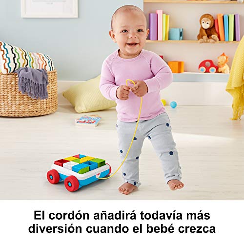 Foto 6 pulgar | Venta Internacional - La Actividad De Tracción Bloquea A Fisher-price