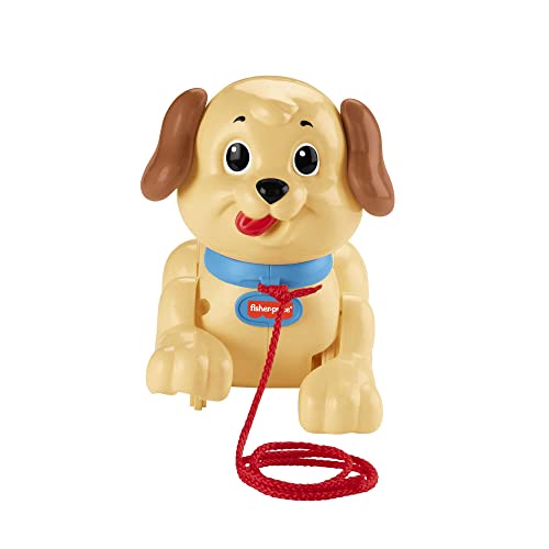 Foto 4 | Venta Internacional - Juguete Plegable Fisher-price Lil' Snoopy Para Caminar