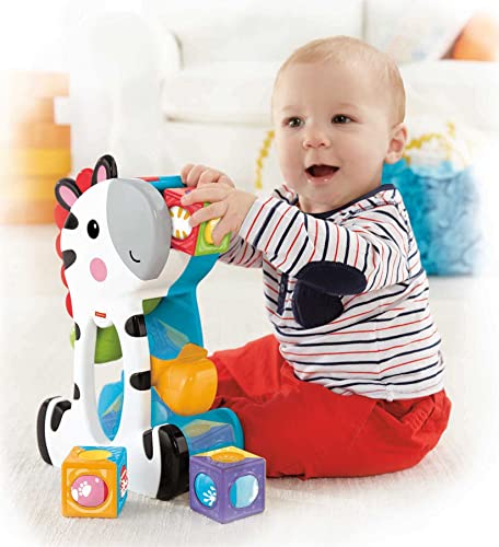 Foto 3 pulgar | Venta Internacional - Bloques Enrollables Toy Fisher-price Tumblin' Zebra Multicolor